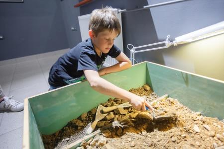 muzejska noč v postojni - Valter Leban-9319